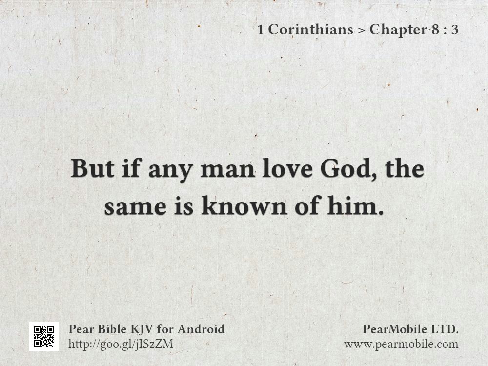 1 Corinthians, Chapter 8:3